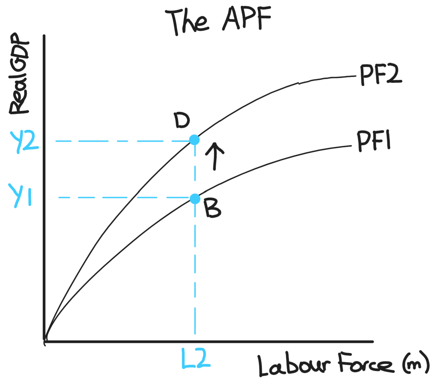 APF Model