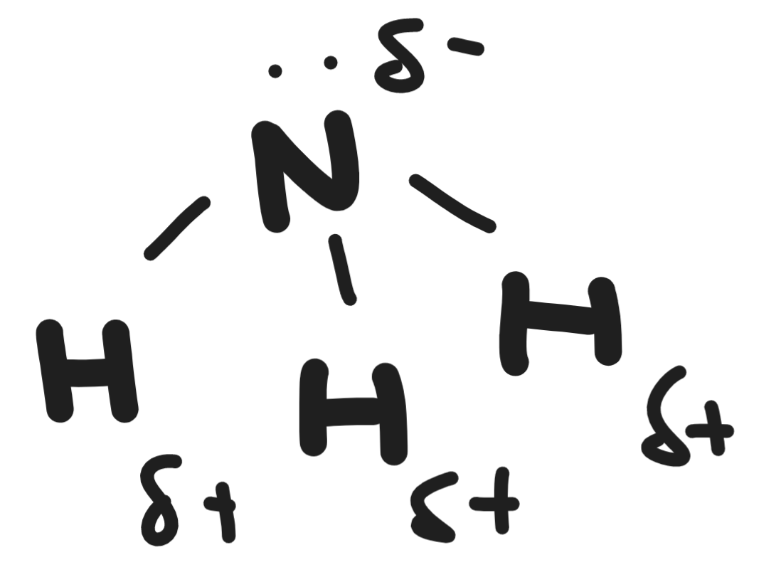 Ammonia Polarity