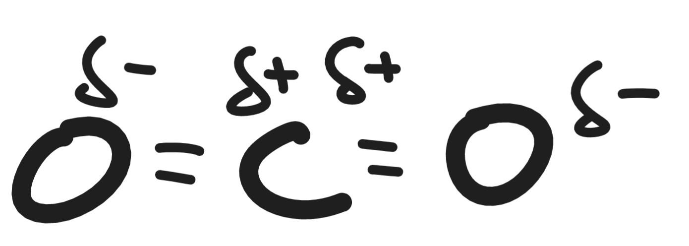 CarbonDioxide_Polarity